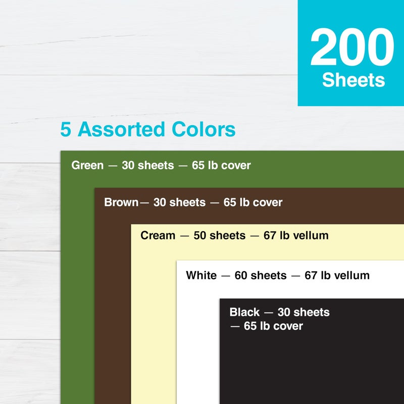 PrintWorks Earth Tones Cardstock Paper 8.5" x 11" - 200 Sheets - 5 Assorted Earth Tone Colors - Ideal for School & Craft Projects - 67 lb/147 gsm & 65 lb/176 gsm - Made in the USA (00603) - Image 4